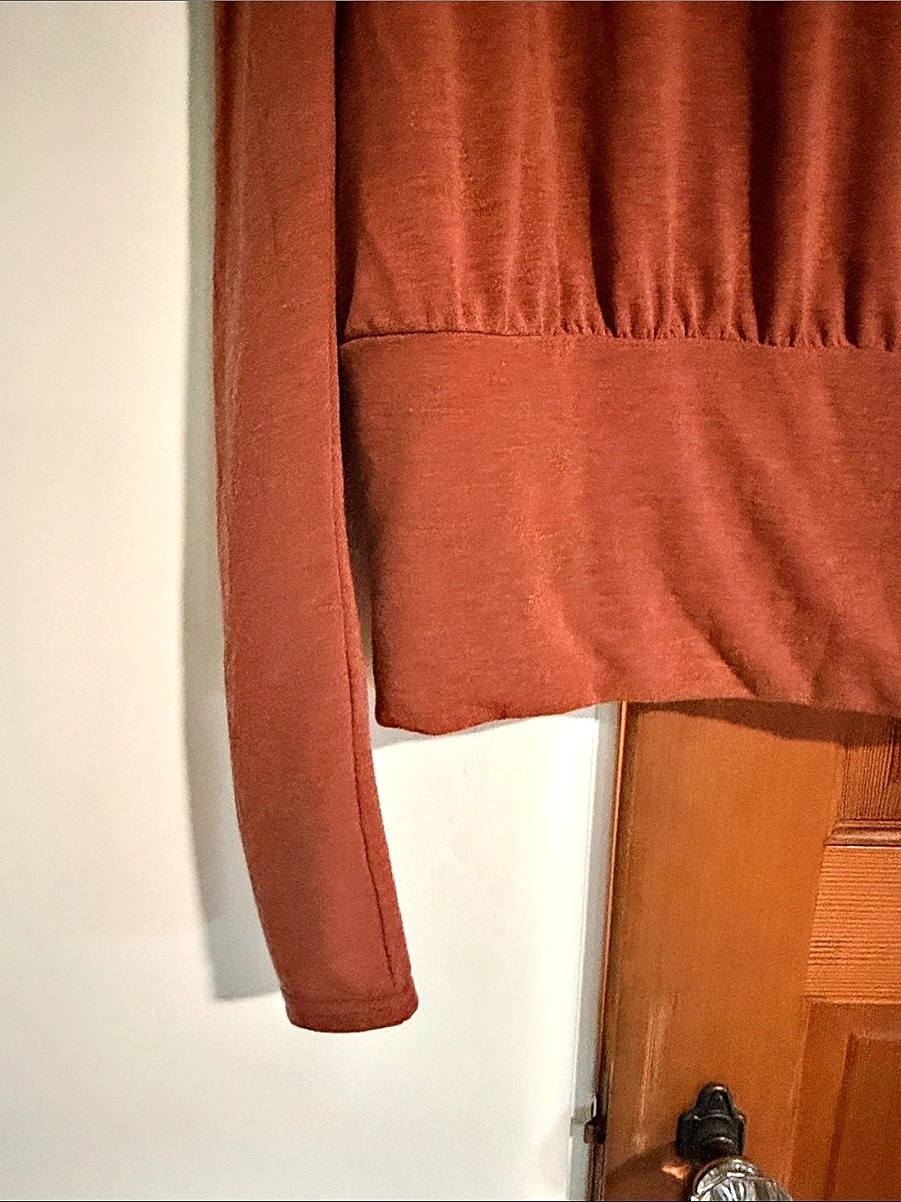 Free People Long Sleeve Rust/Brown Medium NWT - Picture 2 of 5